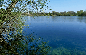 shepperton lake gym chertsey,best gym chertsey